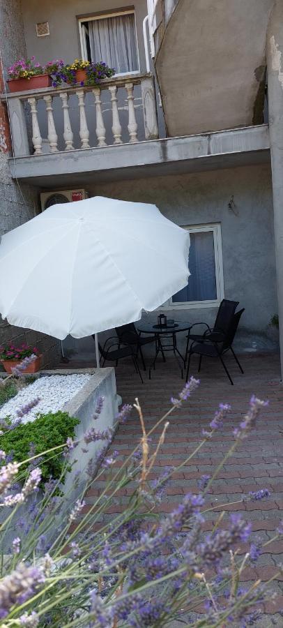 Apartman Marin - Zadar Buitenkant foto